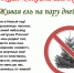 Рейдовое мероприятие «Ёлочка» - Администрация Максатихинского района